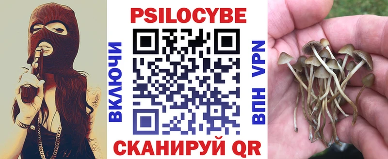 Псилоцибиновые грибы прущие грибы  что такое   Нахабино 